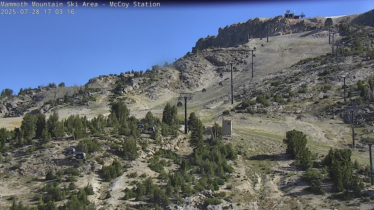 MC Coy Station Webcam MC Coy Station Webcam