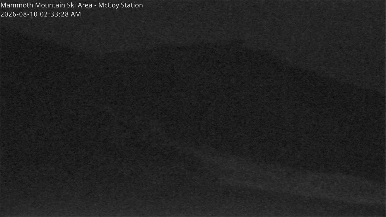 McCoy Chair 23 Top