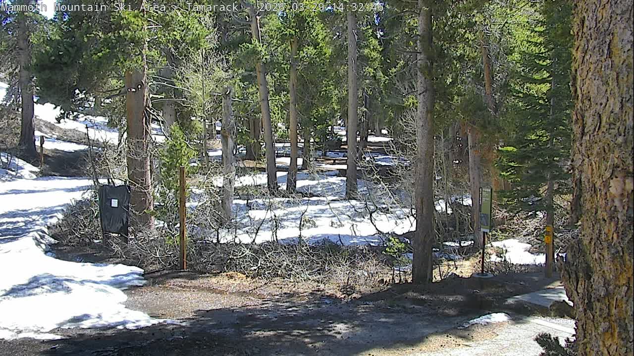 Tamarack / Twin Lakes