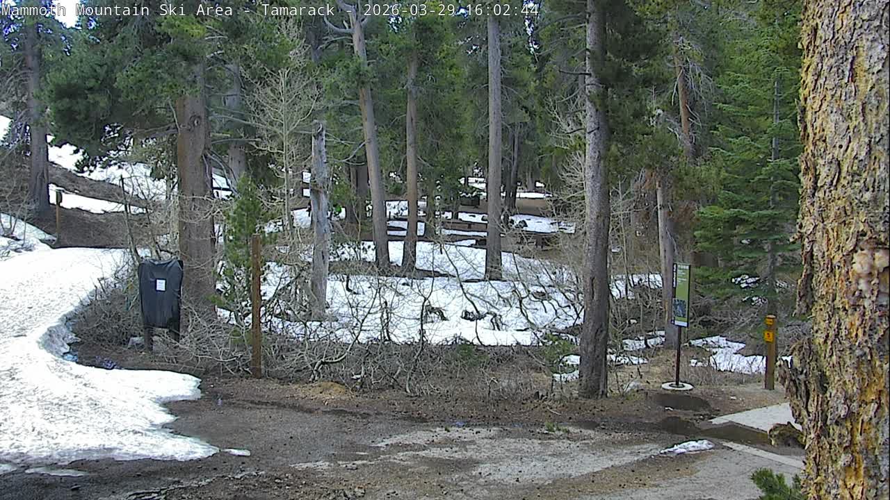 Tamarack / Twin Lakes