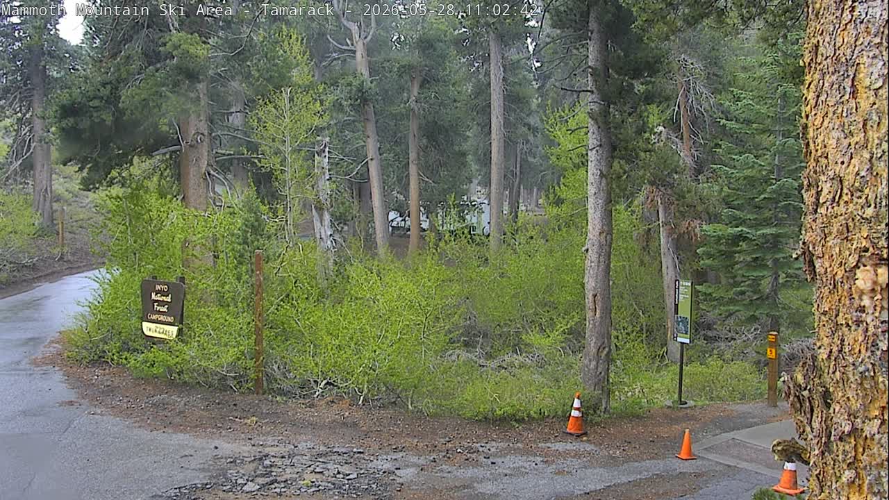 Tamarack / Twin Lakes